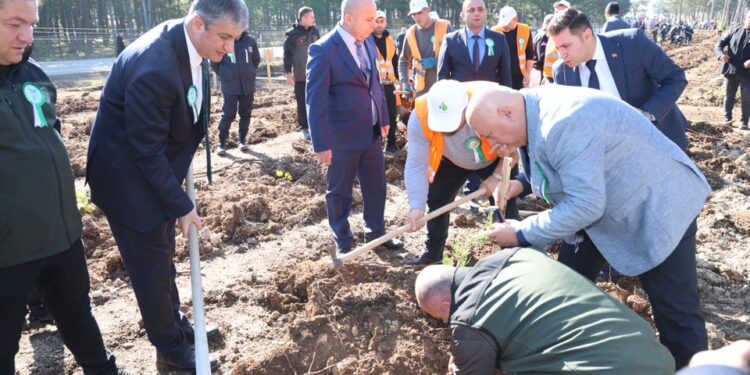 20 Bin fidan toprakla buluştu